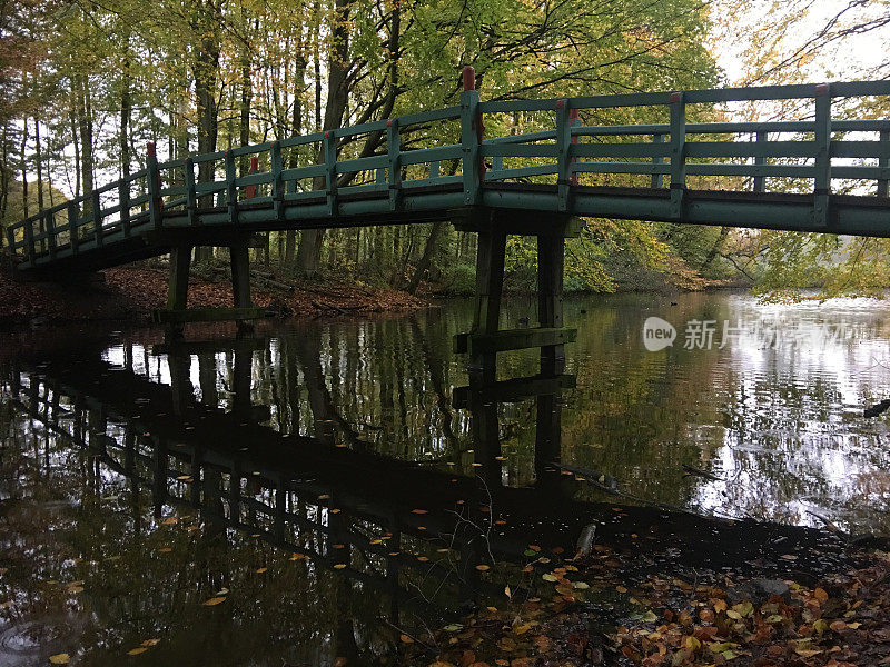 阿姆斯特丹bos de herfst